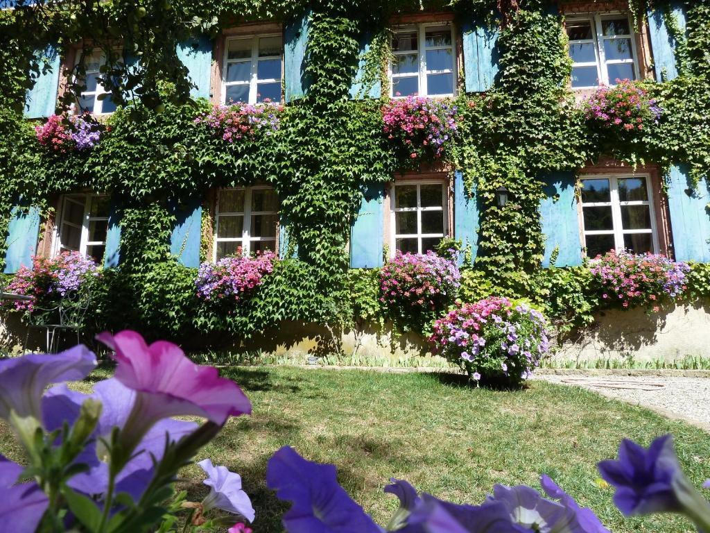 Le Schaeferhof Hotel Murbach Екстериор снимка